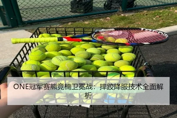 ONE冠军赛熊竞楠卫冕战：摔跤降服技术全面解析