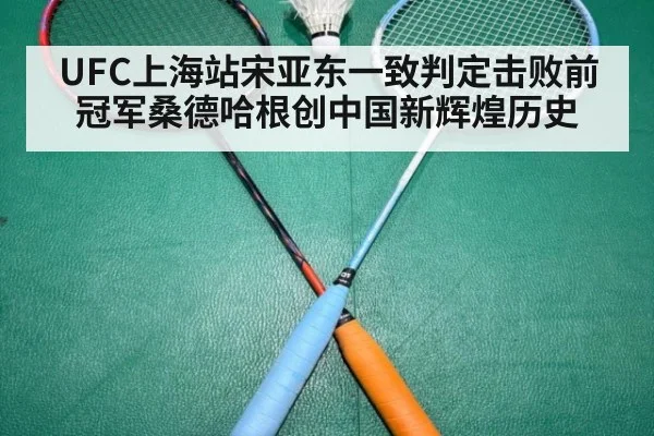 UFC上海站宋亚东一致判定击败前冠军桑德哈根创中国新辉煌历史