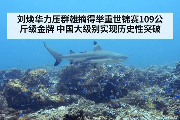 刘焕华力压群雄摘得举重世锦赛109公斤级金牌 中国大级别实现历史性突破